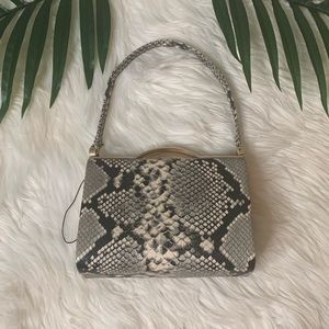 Small Snake Skin Pattern Clutch